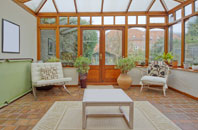 free Pinkie Braes conservatory quotes